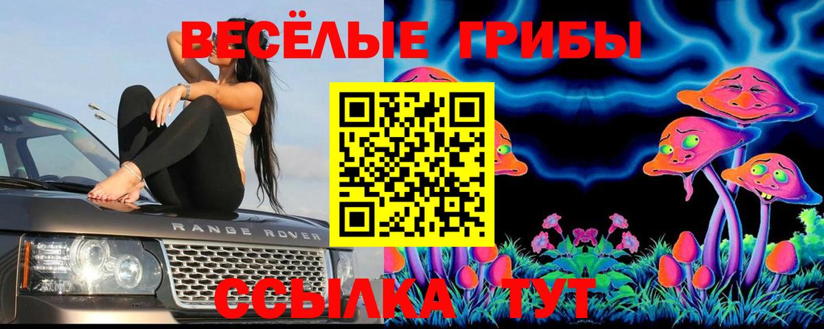 Тверь  Псилоцибиновые грибы Psilocybine cubensis  Вход с VPN  Псилоцибиновые грибы мухоморы 