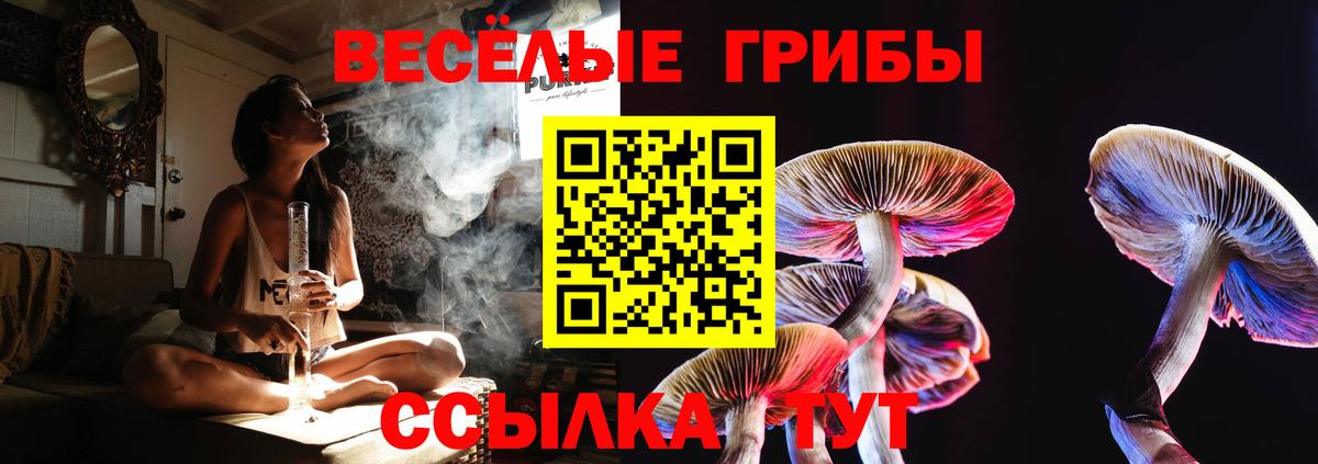 Галлюциногенные грибы ЛСД Тверь